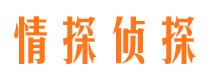 泽普市调查公司